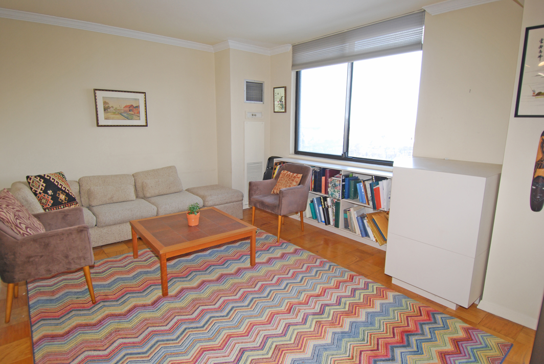 North Shore Towers Apartment