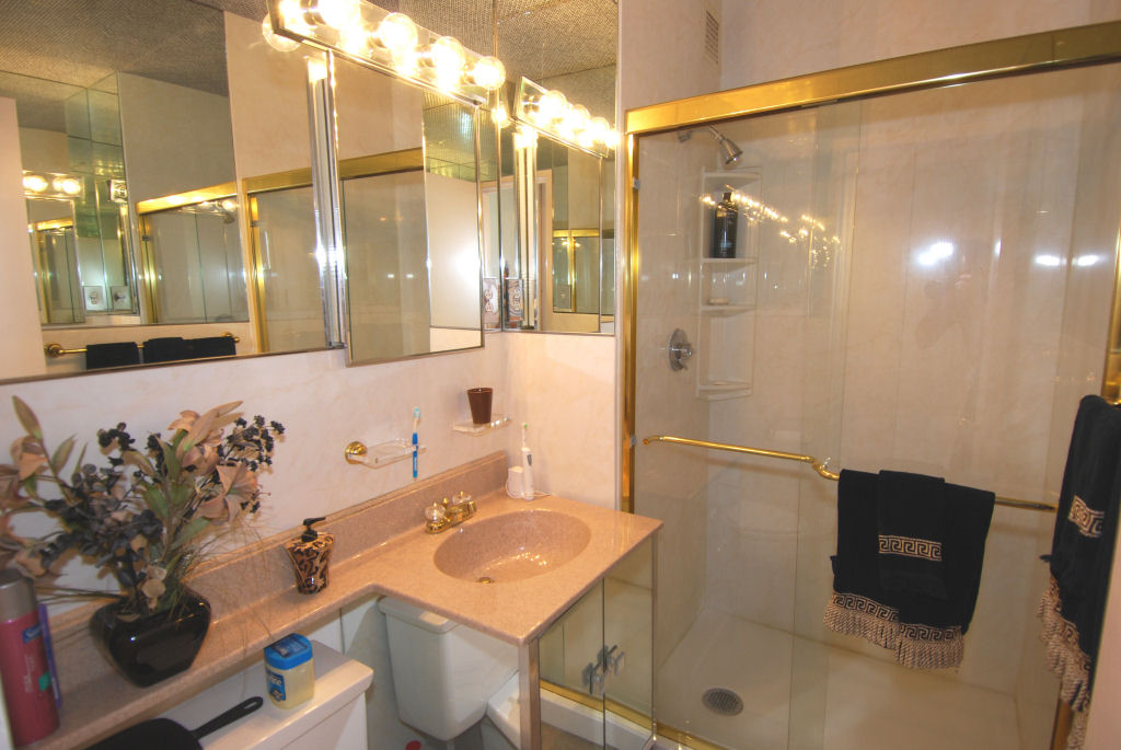 North Shore Towers Apartment