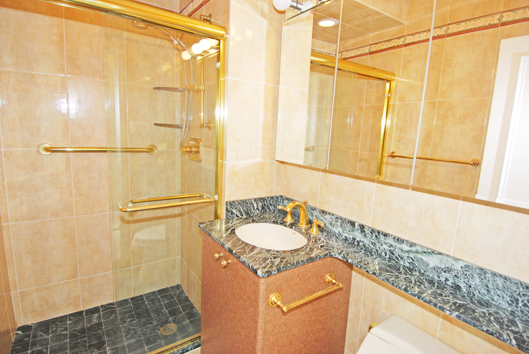 North Shore Towers Apartment