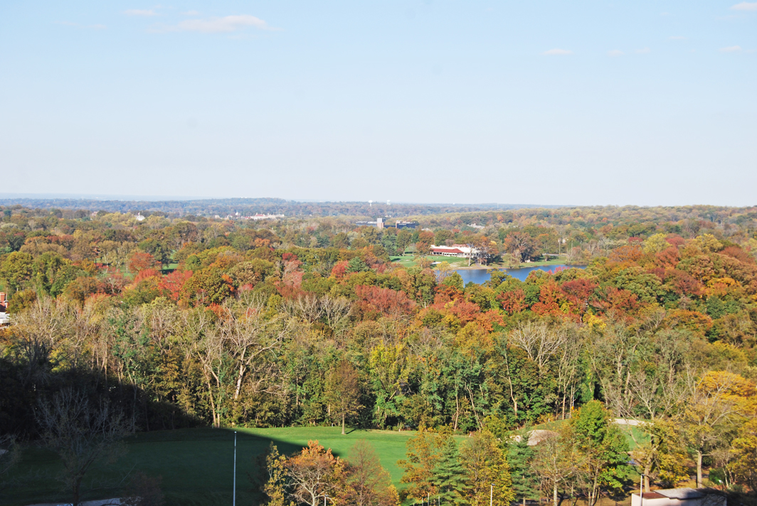 North Shore Towers Apartment