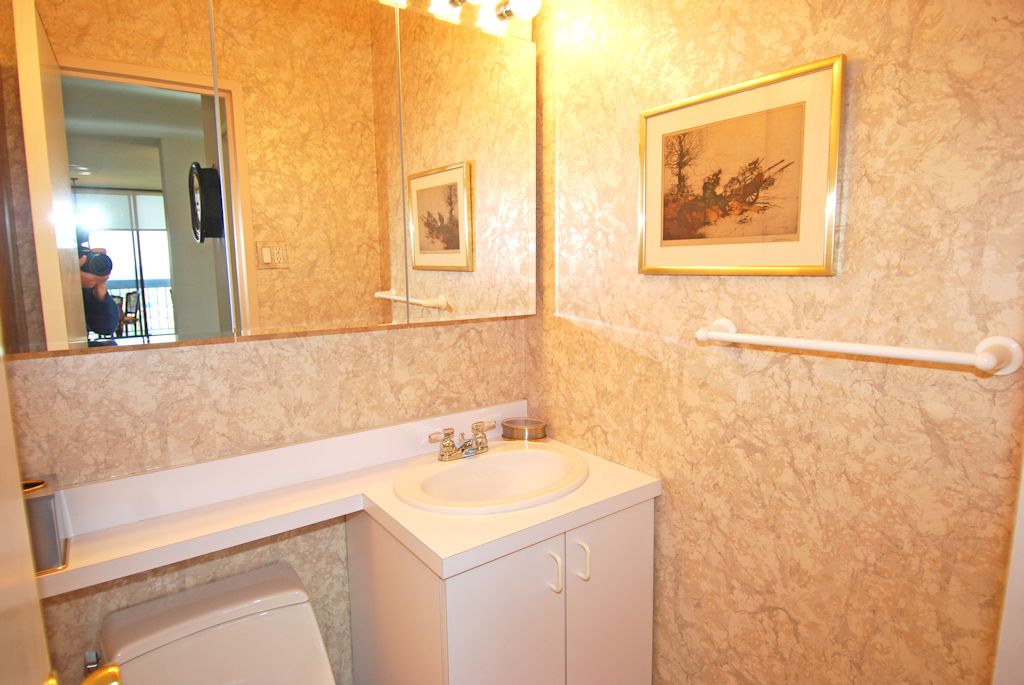 North Shore Towers Apartment