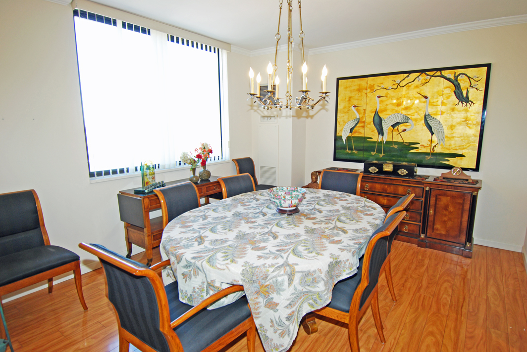 North Shore Towers Apartment