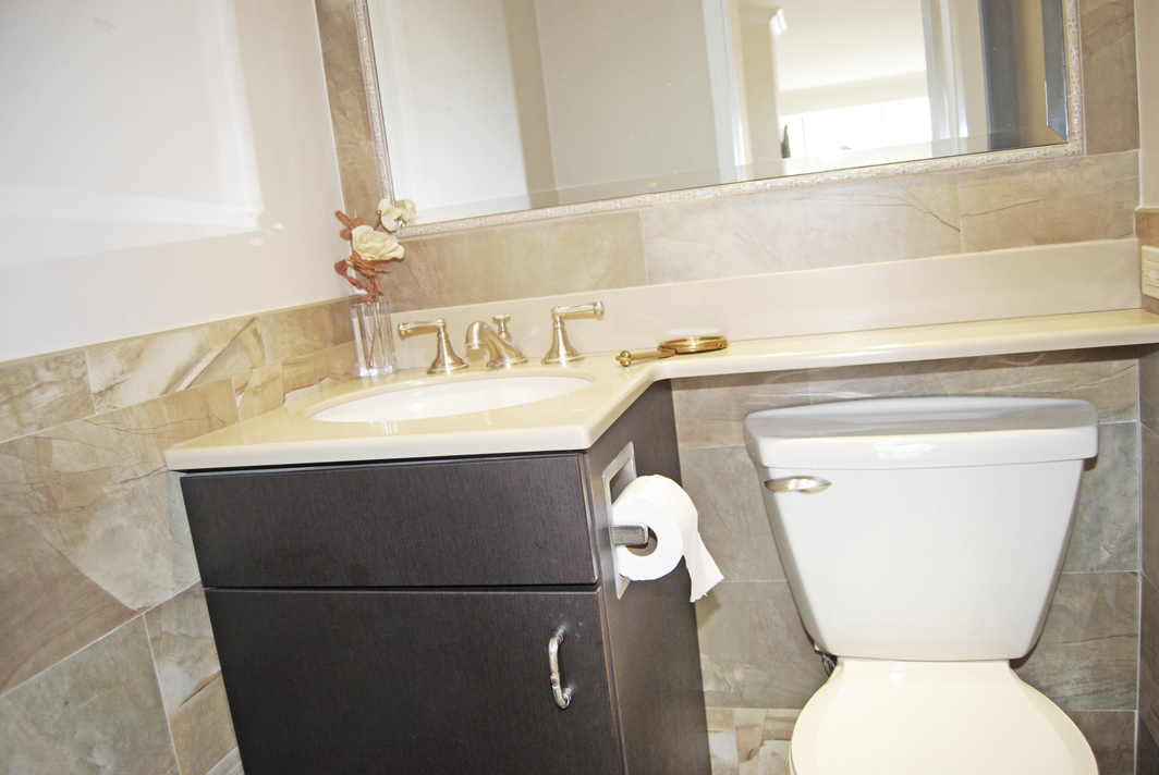 North Shore Towers Apartment