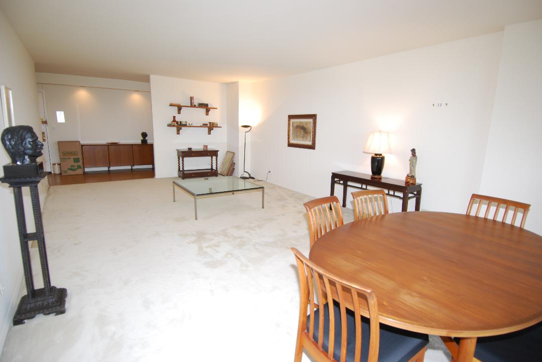 North Shore Towers Apartment