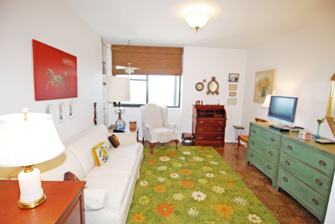 North Shore Towers Apartment