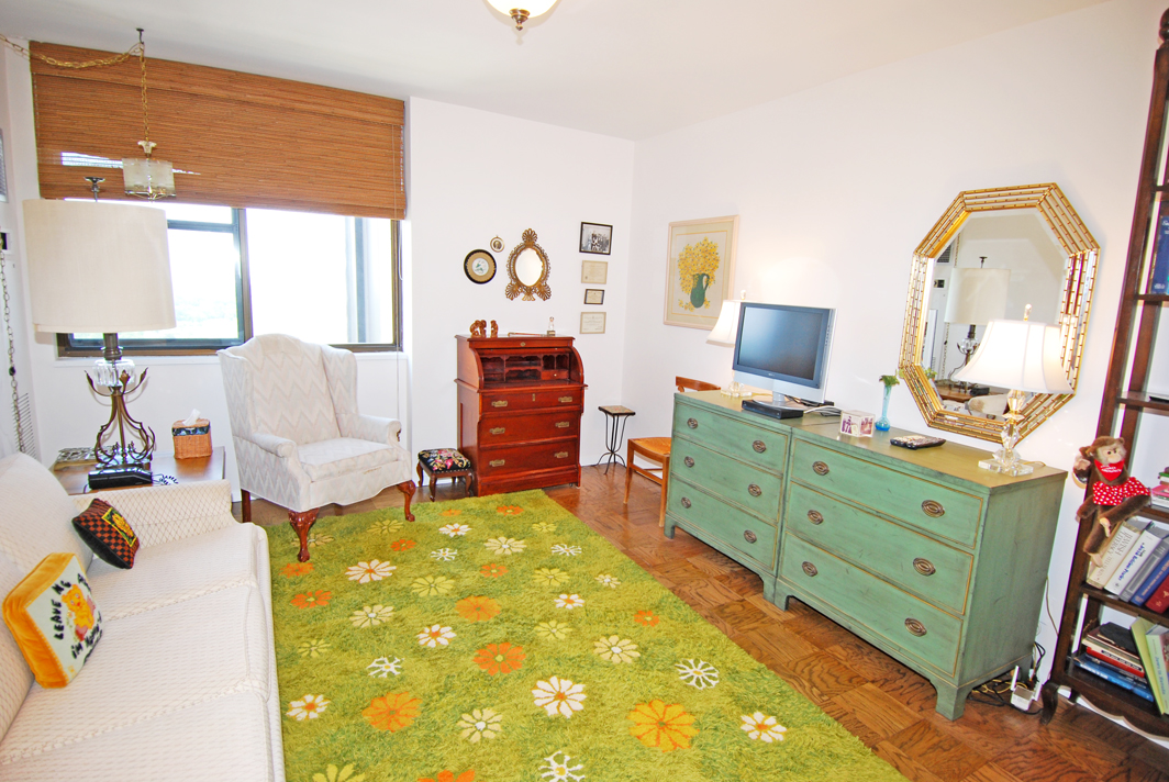 North Shore Towers Apartment