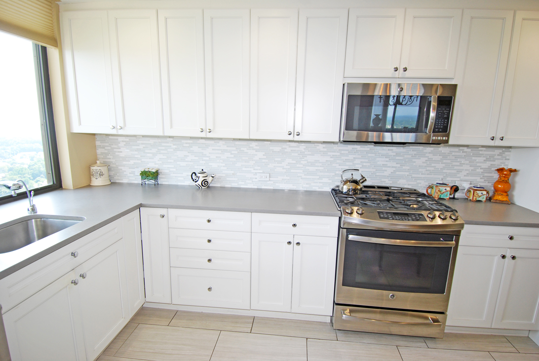 North Shore Towers Apartment