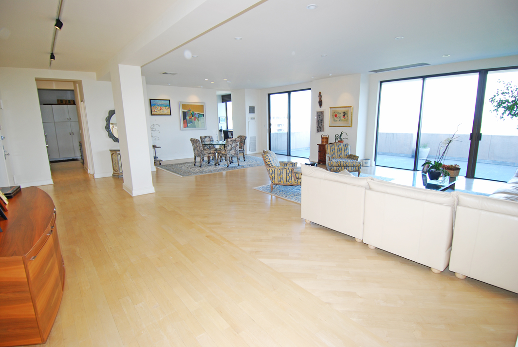 North Shore Towers Penthouse