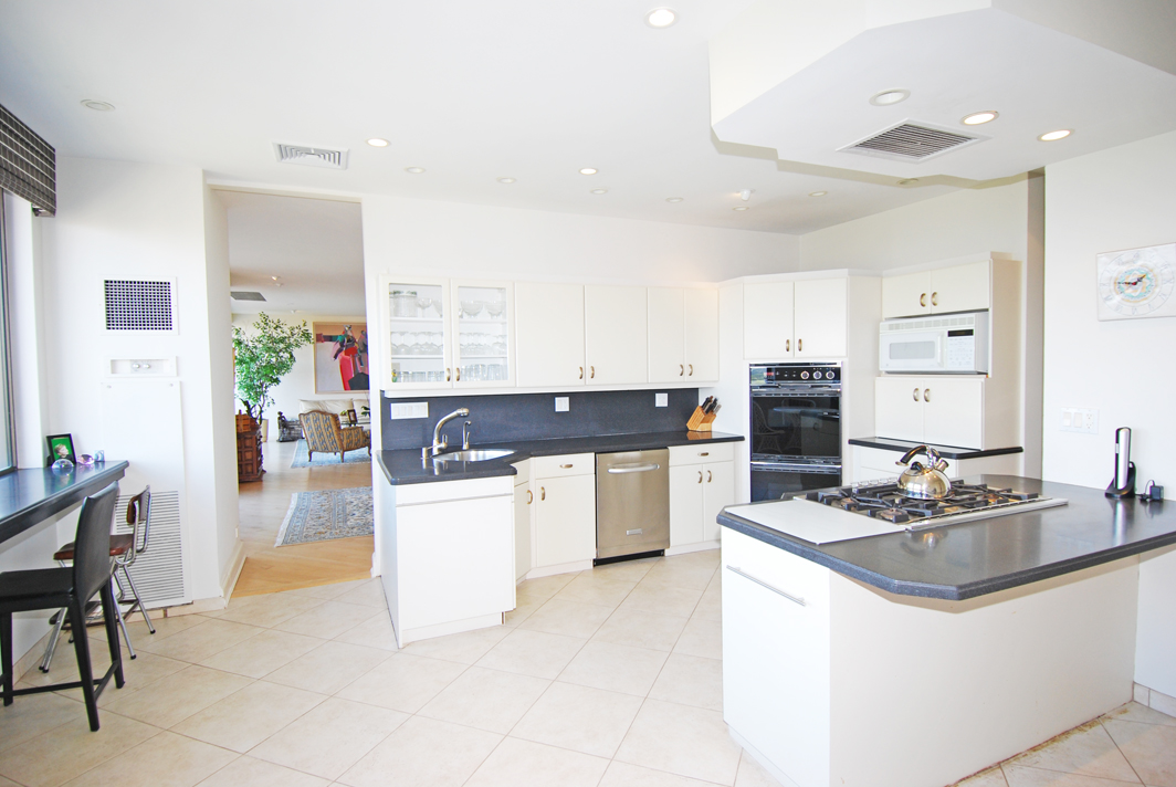 North Shore Towers Penthouse