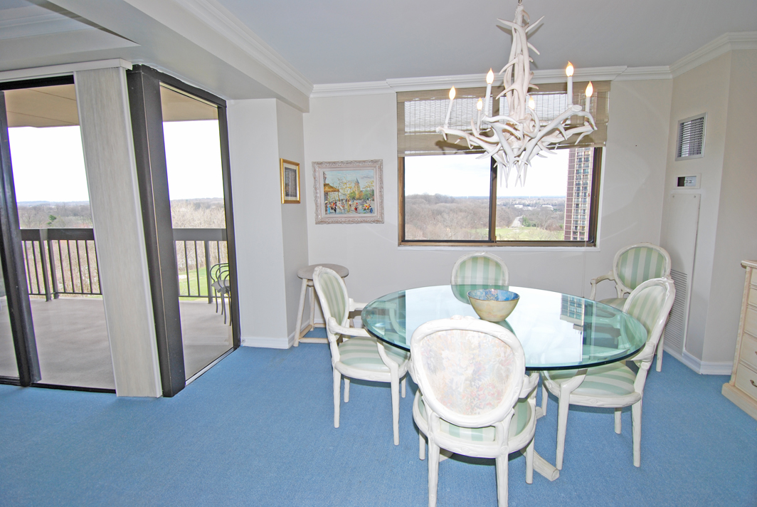 North Shore Towers Apartment