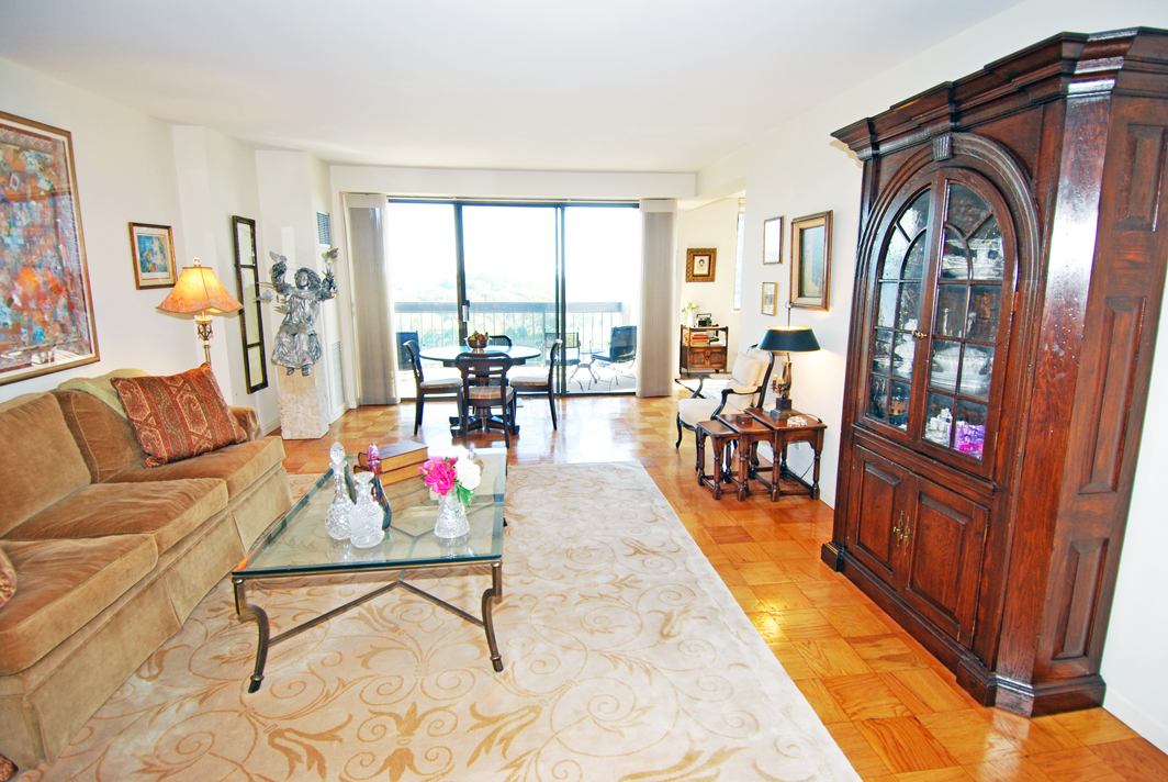 North Shore Towers Apartment