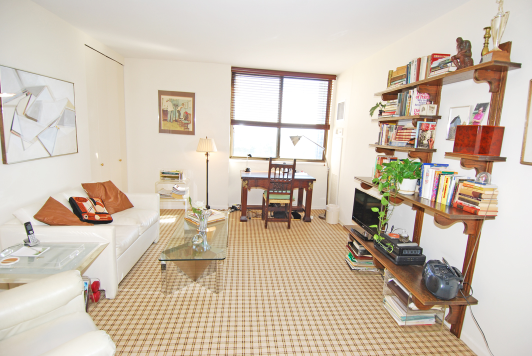 North Shore Towers Apartment