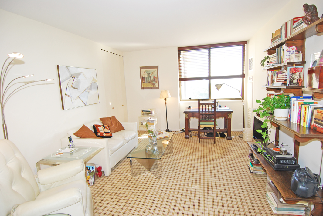 North Shore Towers Apartment