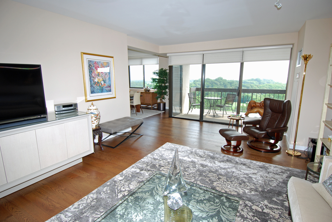 North Shore Towers Apartment