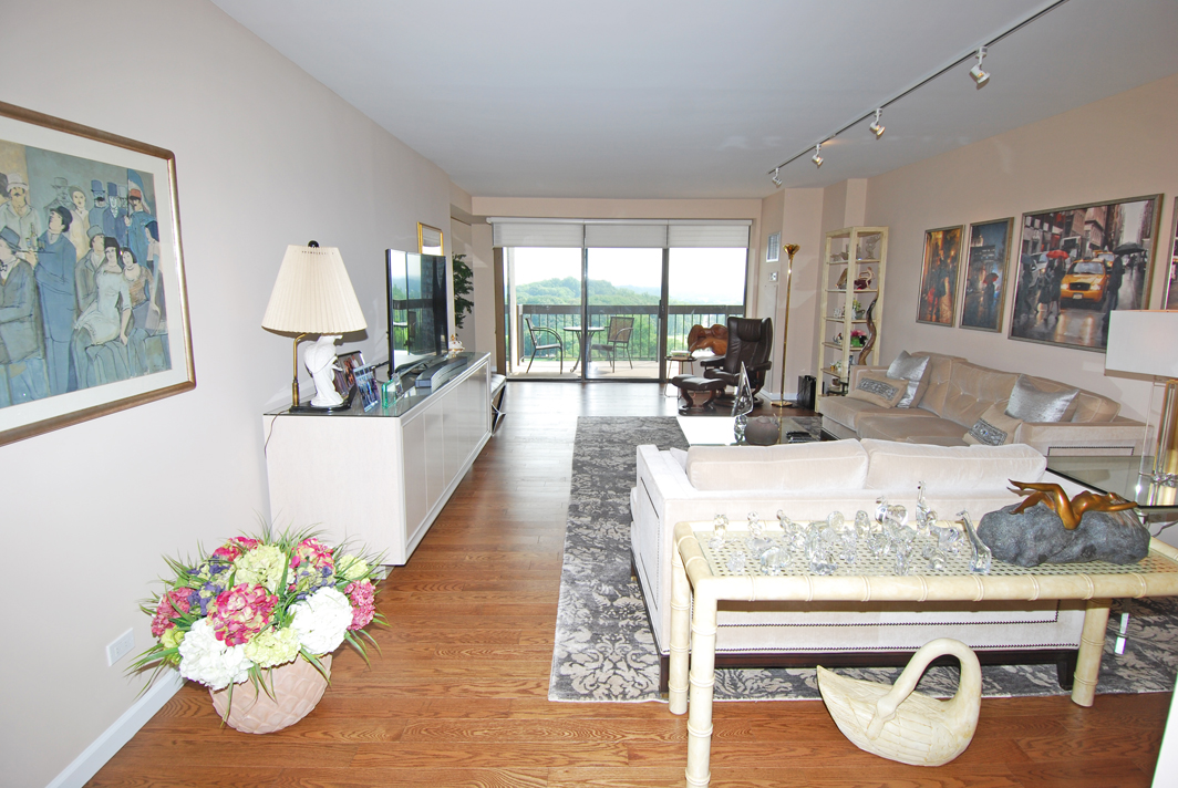 North Shore Towers Apartment