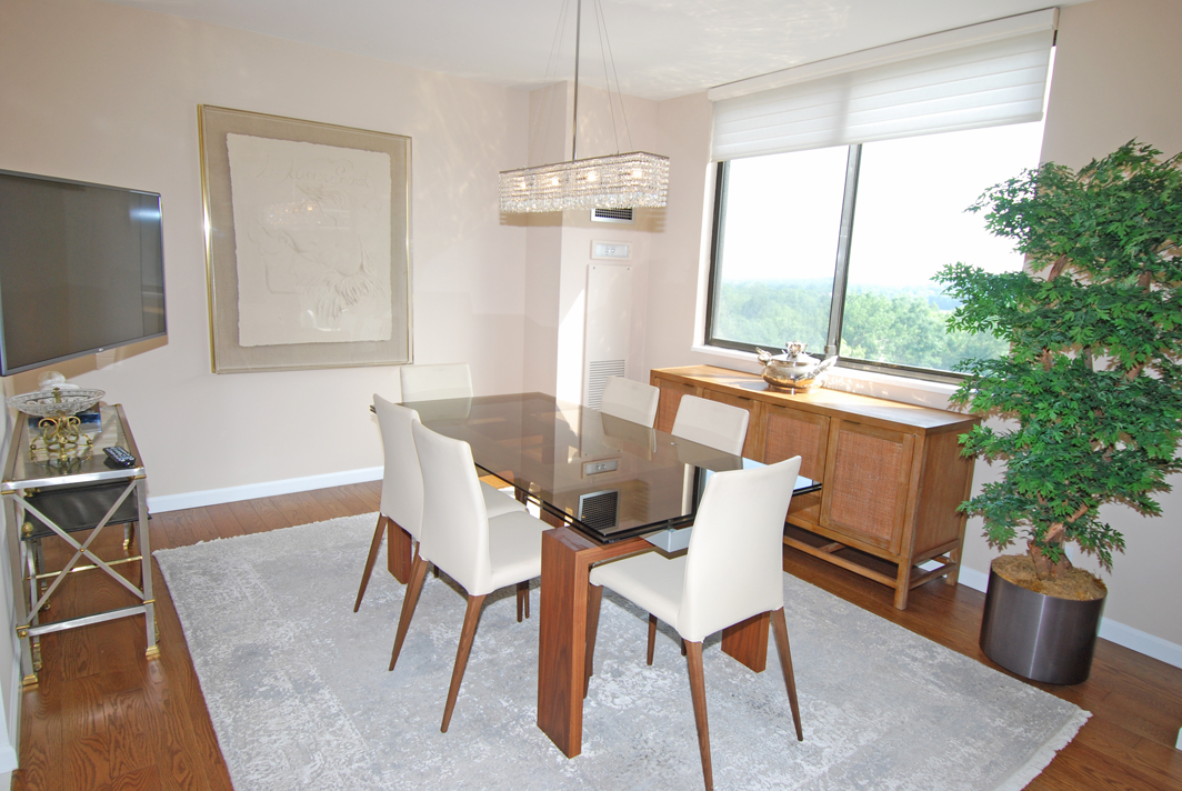 North Shore Towers Apartment