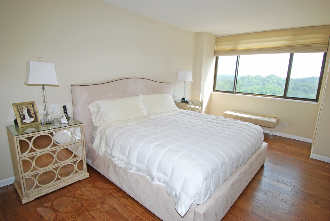 North Shore Towers Apartment