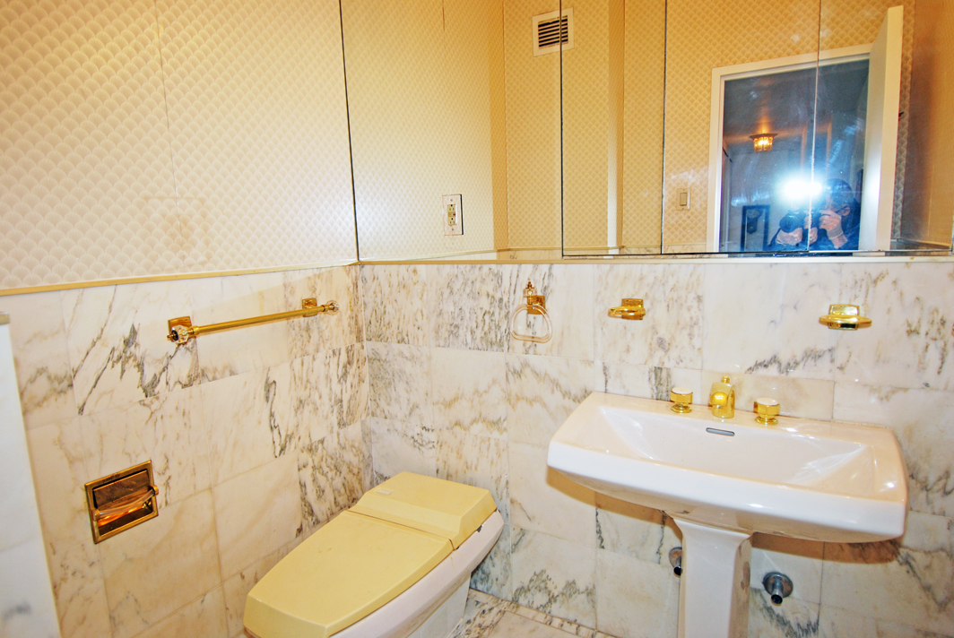 North Shore Towers Apartment