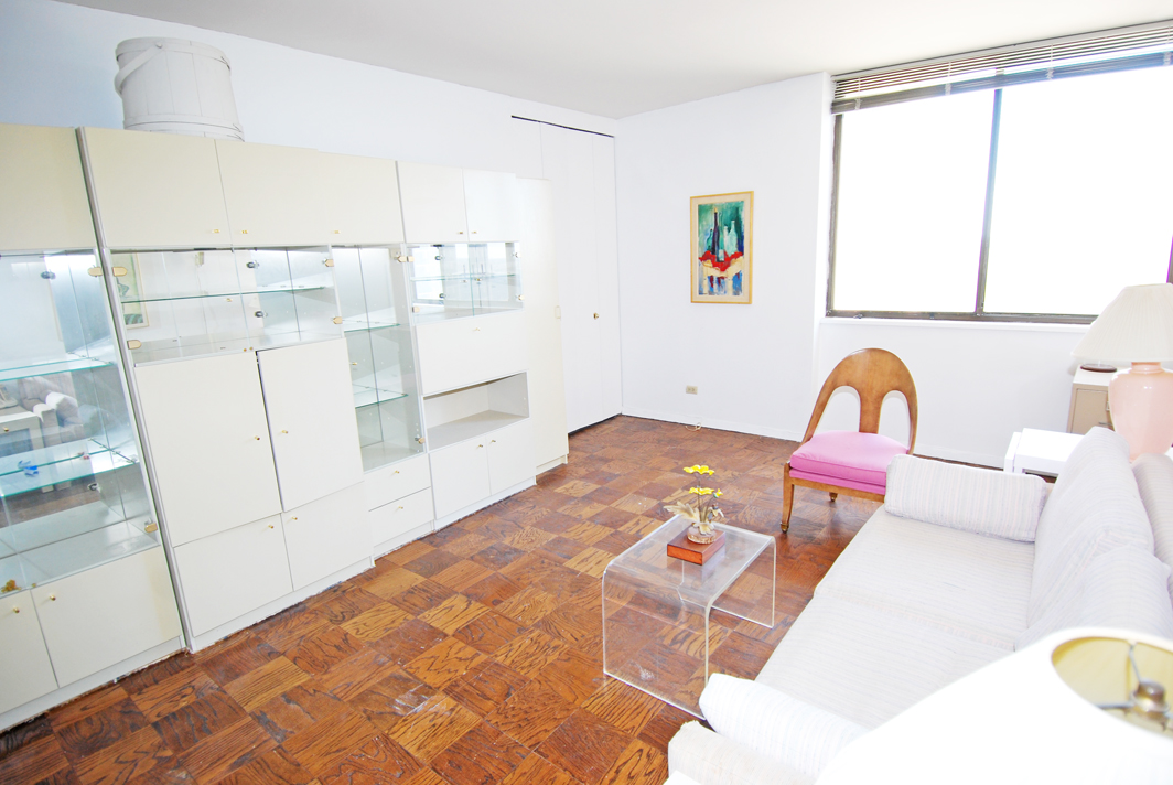 North Shore Towers Apartment