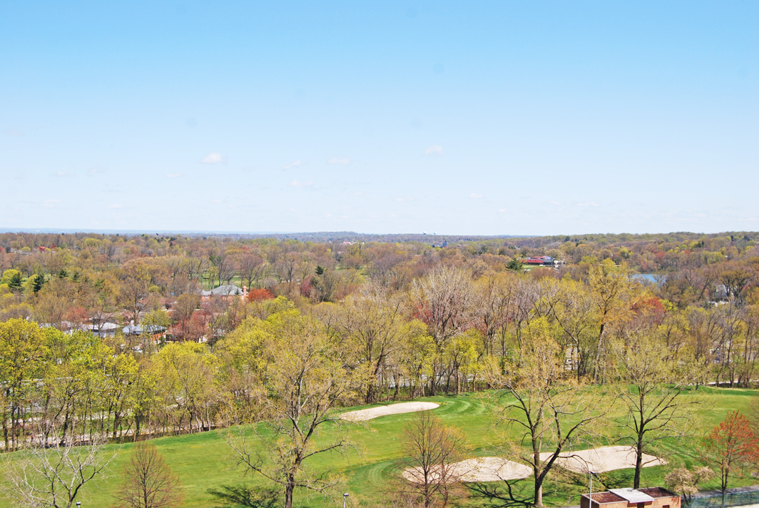 North Shore Towers Apartment