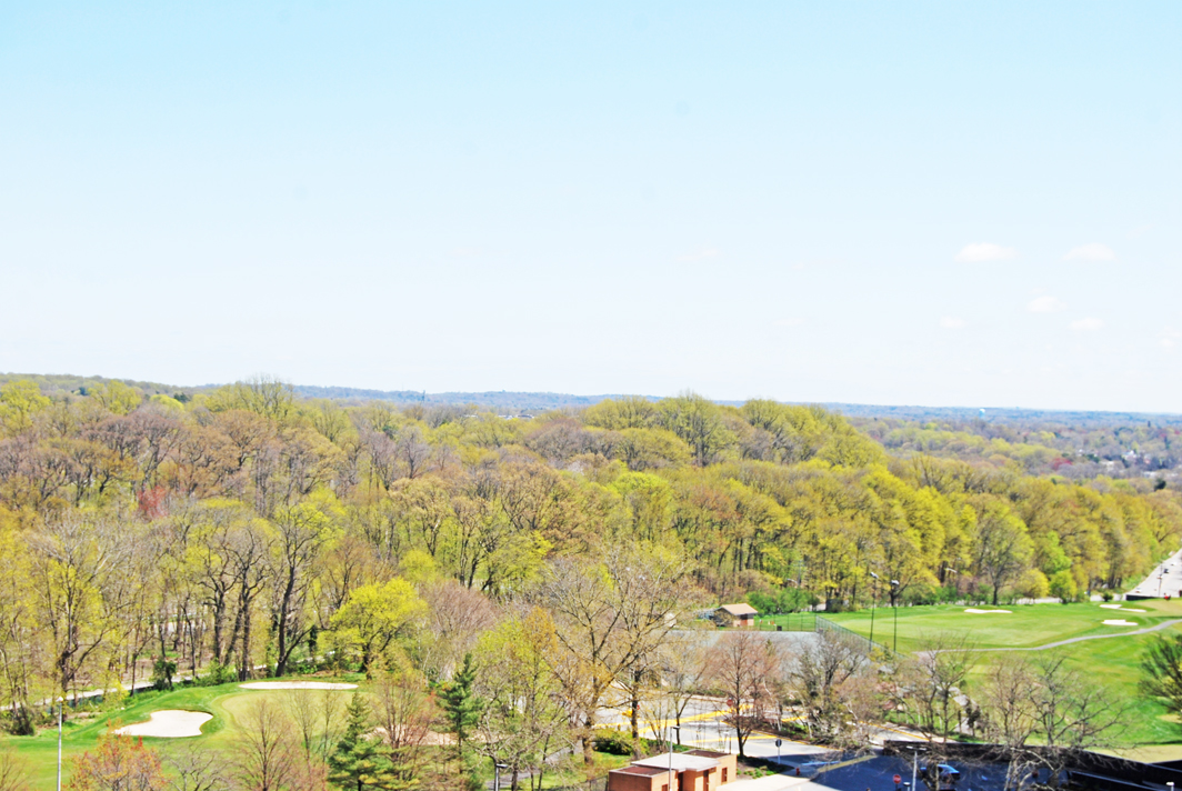 North Shore Towers Apartment