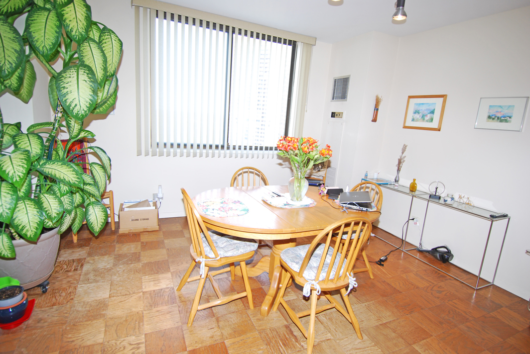 North Shore Towers Apartment