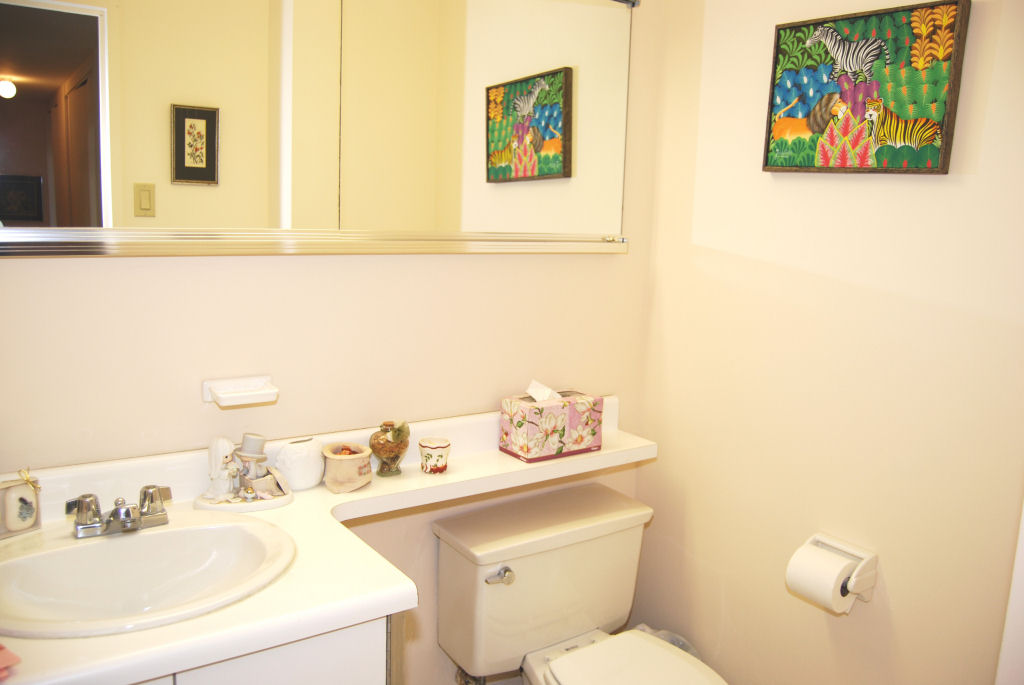 North Shore Towers Apartment