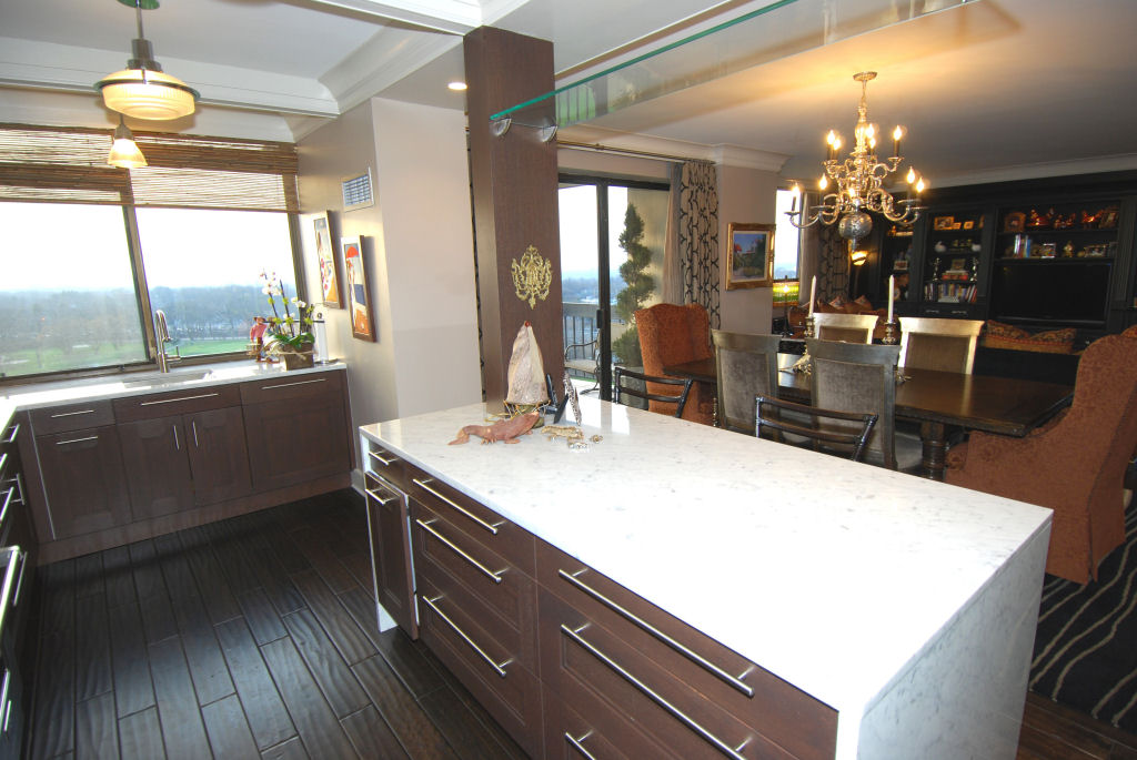 North Shore Towers Apartment