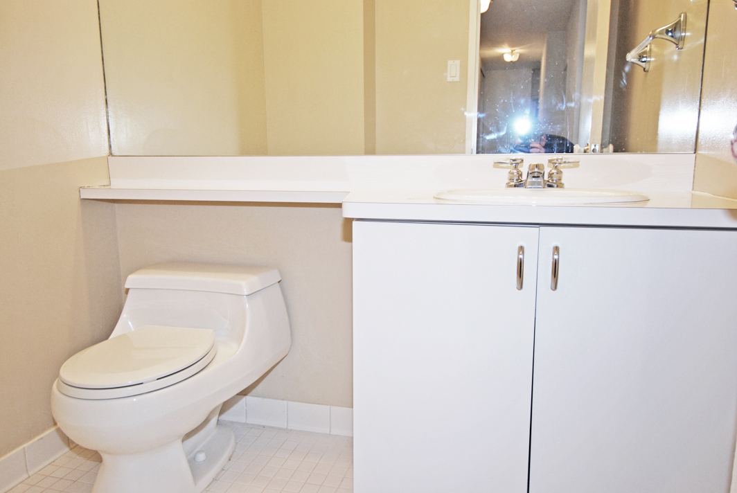 North Shore Towers Apartment