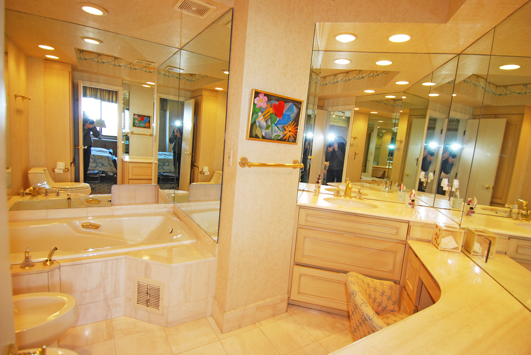 North Shore Towers Apartment