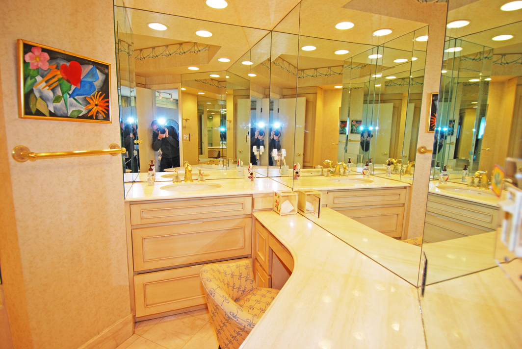 North Shore Towers Apartment