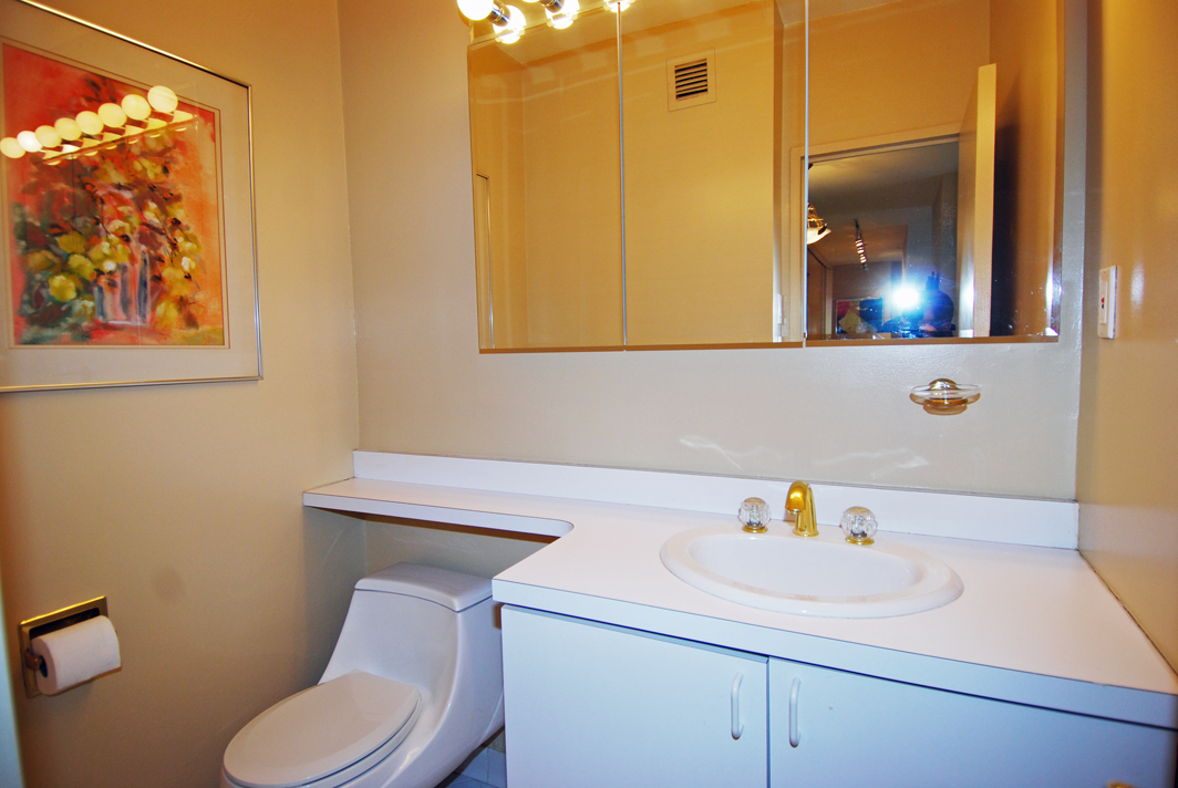 North Shore Towers Apartment