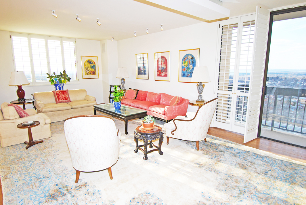 North Shore Towers Apartment