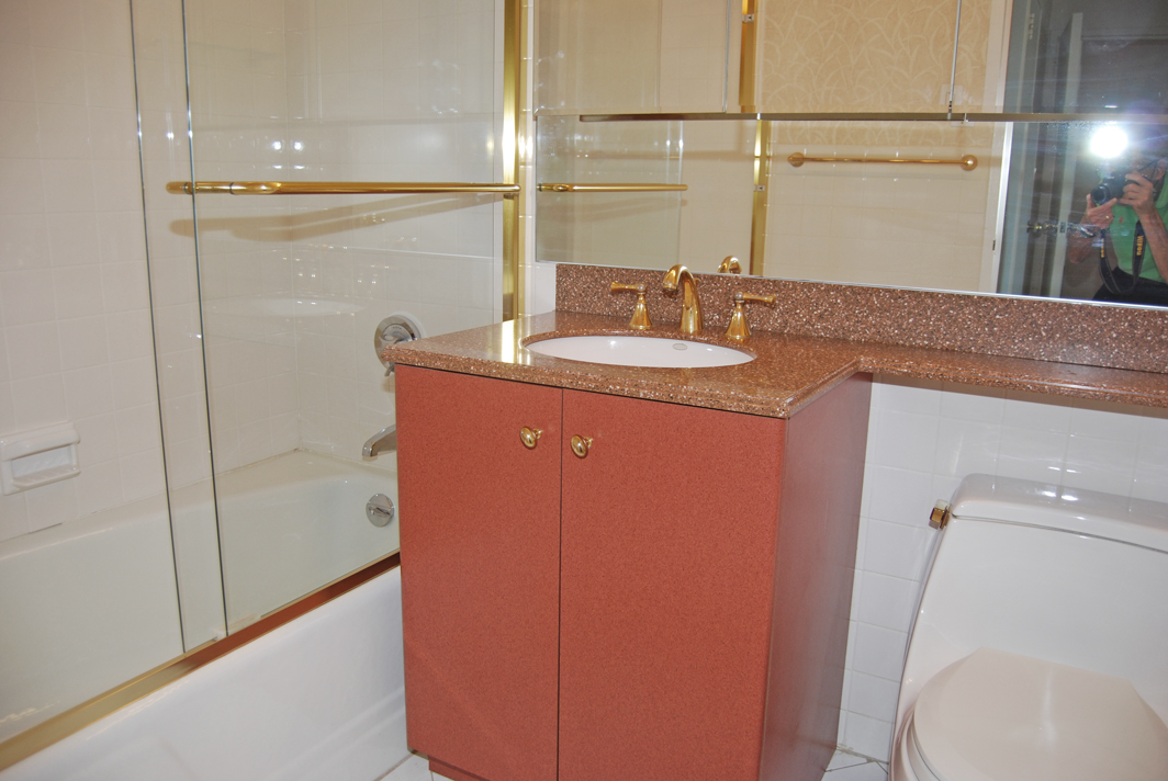 North Shore Towers Apartment