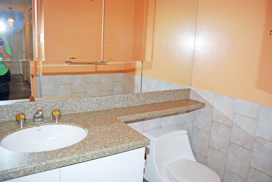 North Shore Towers Apartment