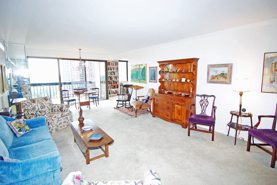 North Shore Towers Apartment