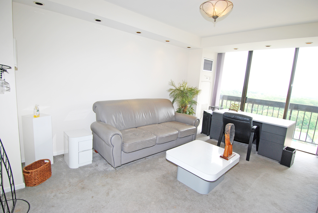 North Shore Towers Apartment