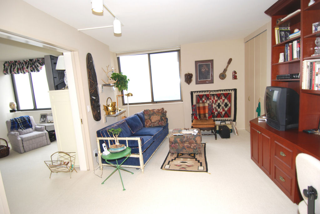 North Shore Towers Apartment