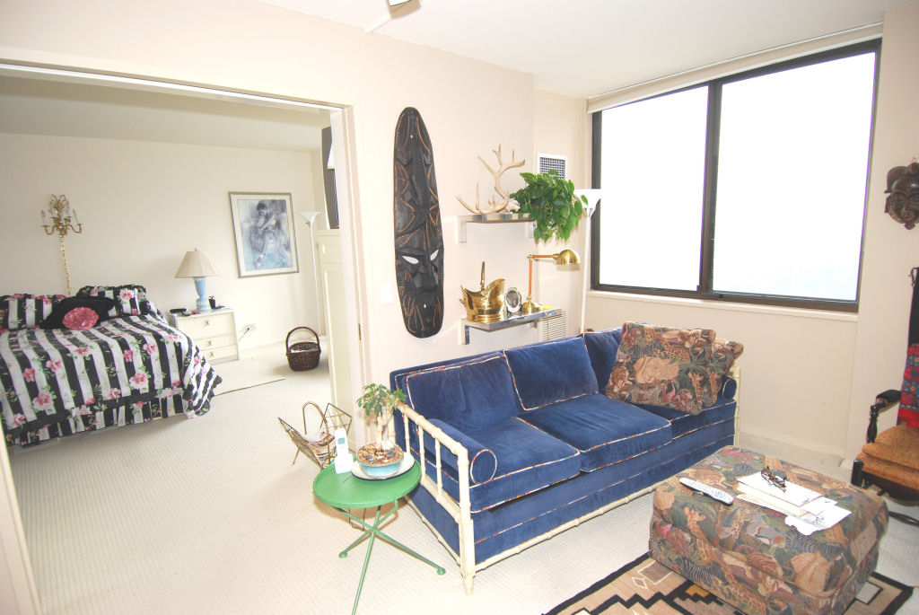 North Shore Towers Apartment