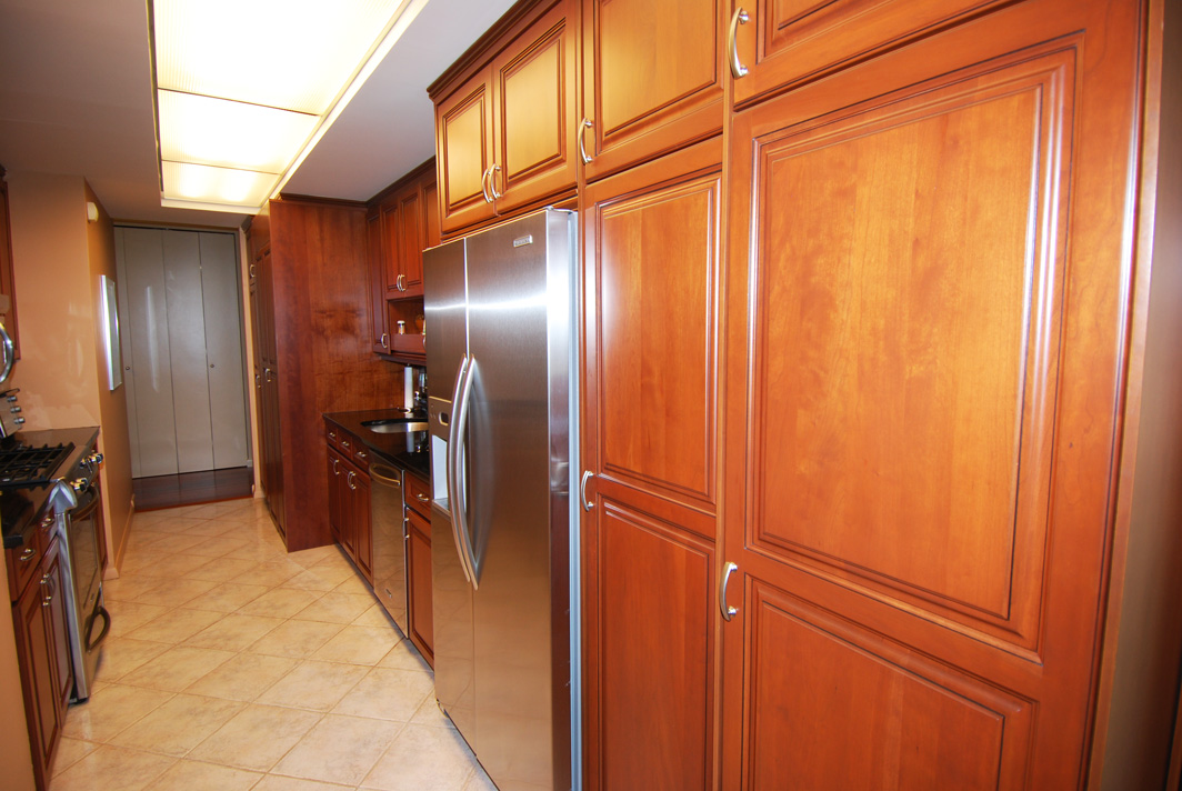 North Shore Towers Apartment