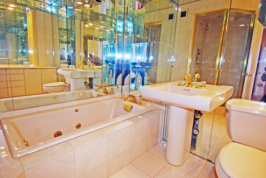 North Shore Towers Apartment