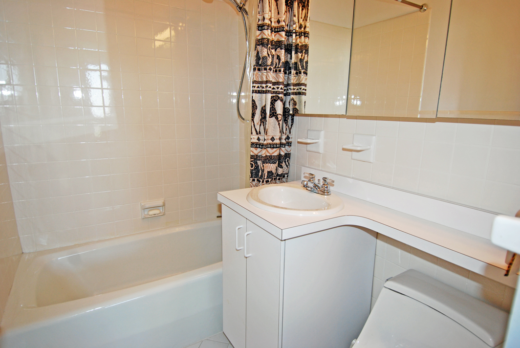 North Shore Towers Apartment