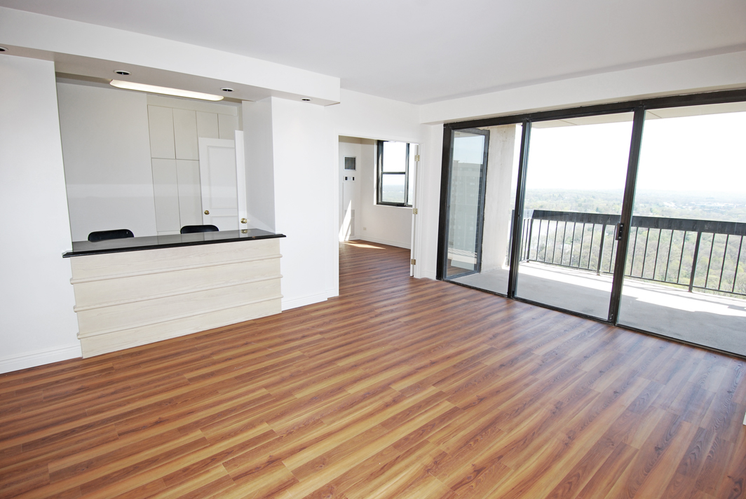 North Shore Towers Apartment