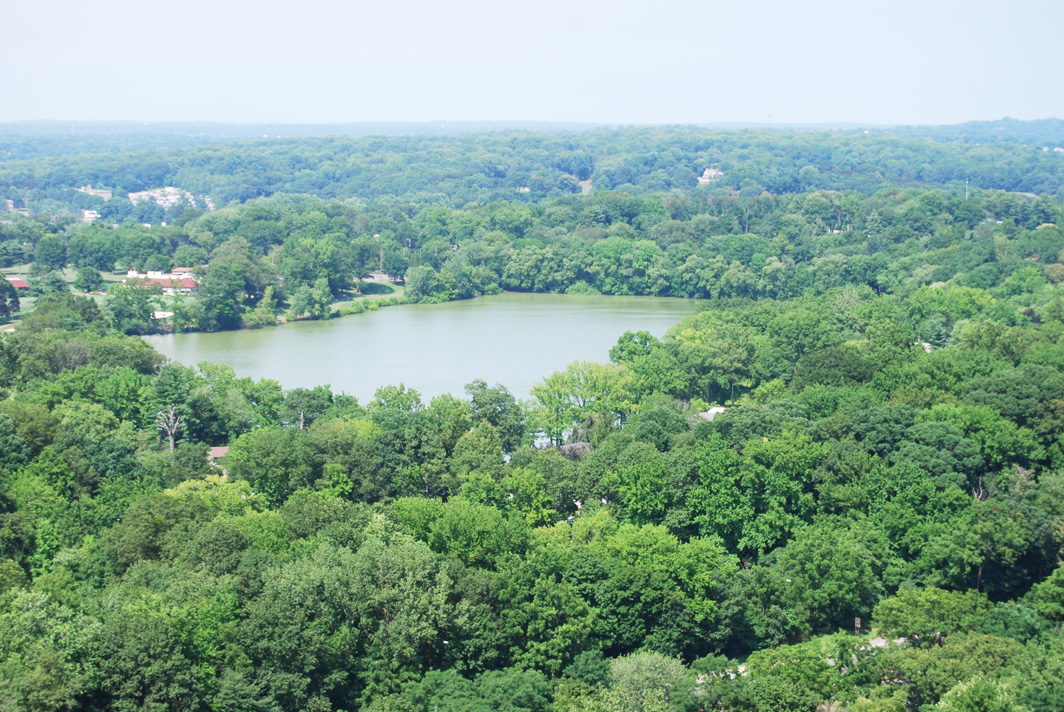 North Shore Towers Apt.