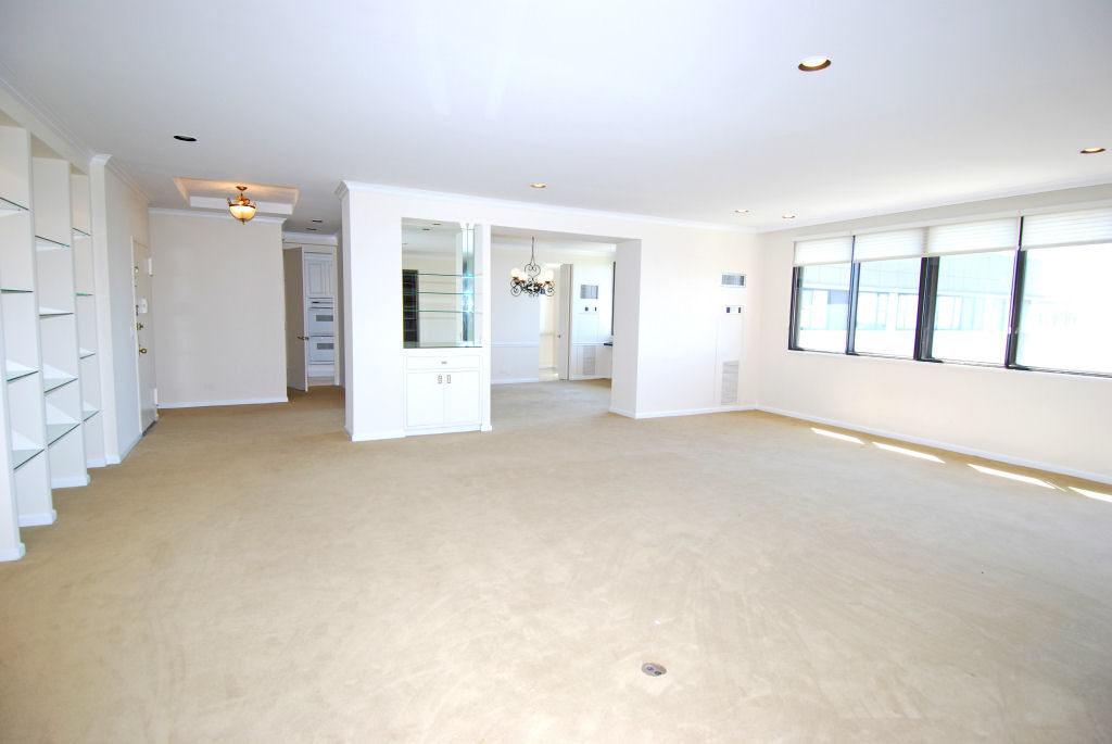 North Shore Towers Penthouse