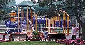 NST Playground